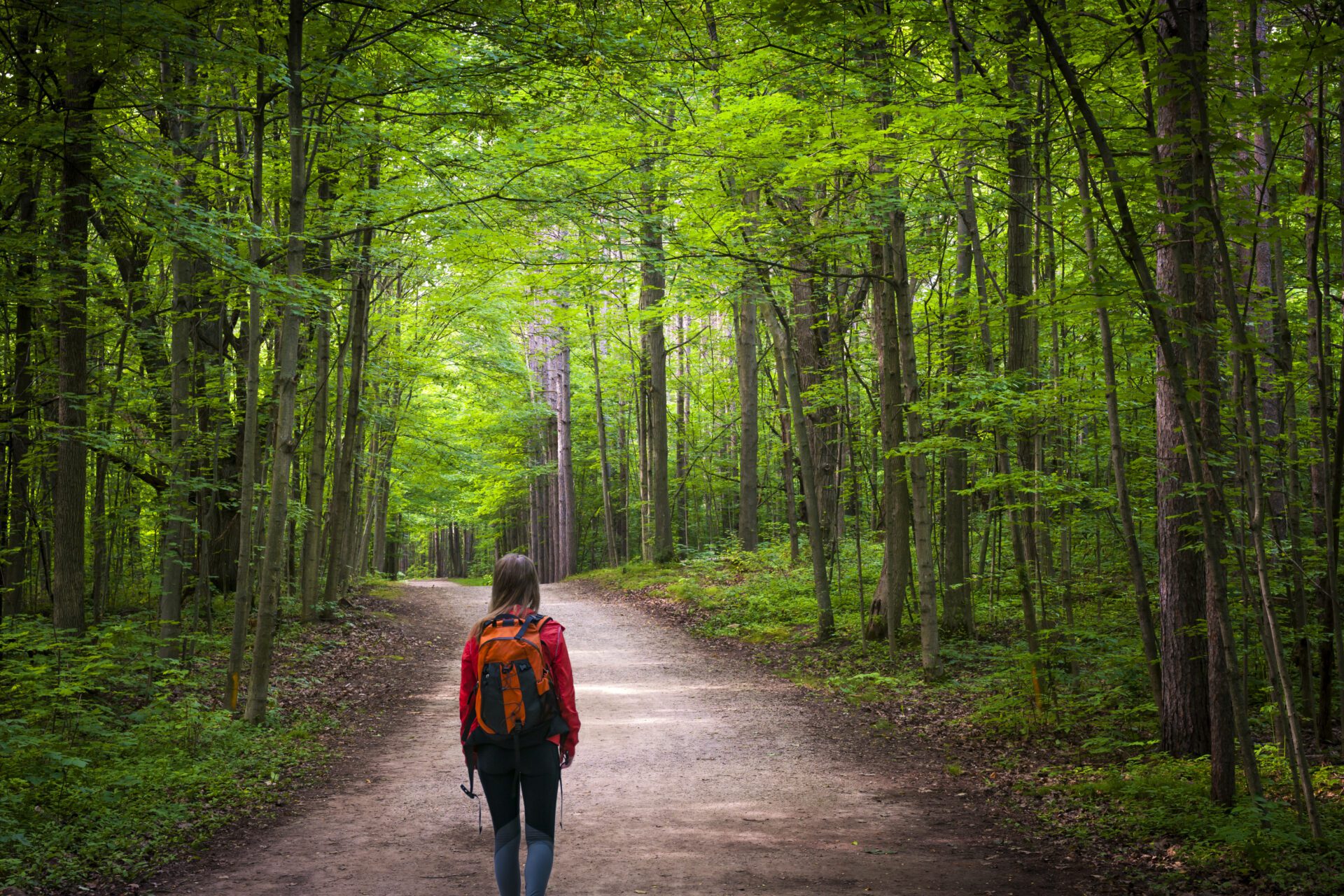 Hiker on forest trail Hiker on forest trail